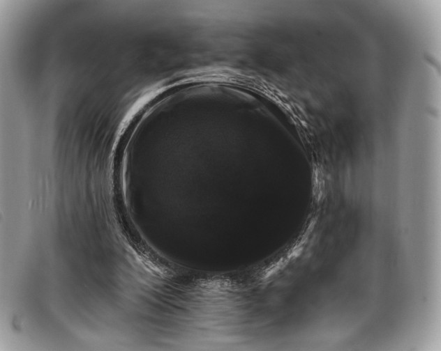 X0000098030200200804071424