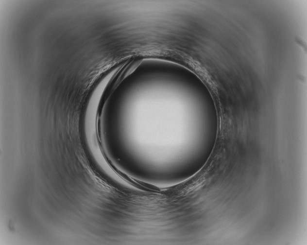 X0000098030201200804071424