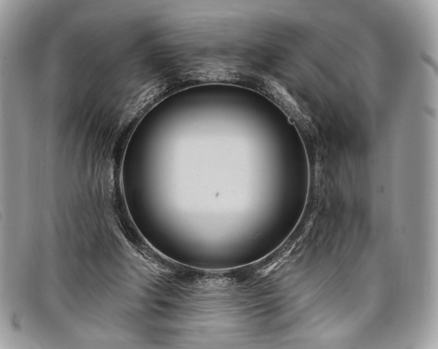 X0000098030202200804071424