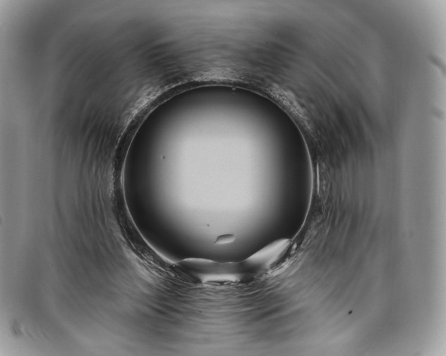 X0000098030204200804071424