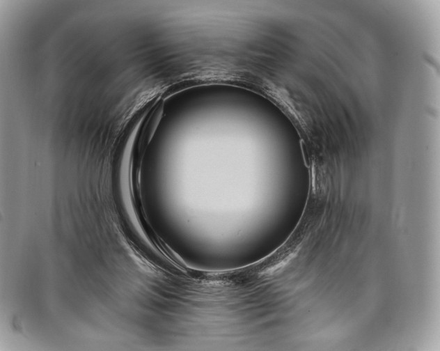 X0000098030205200804071424