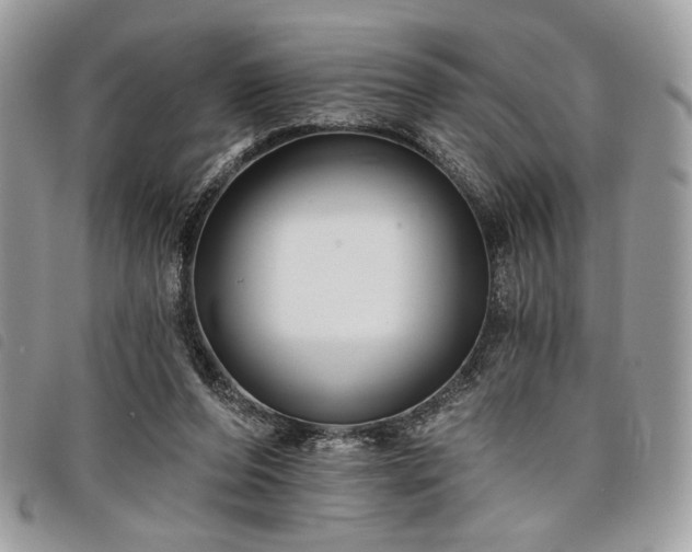 X0000098030208200804071424