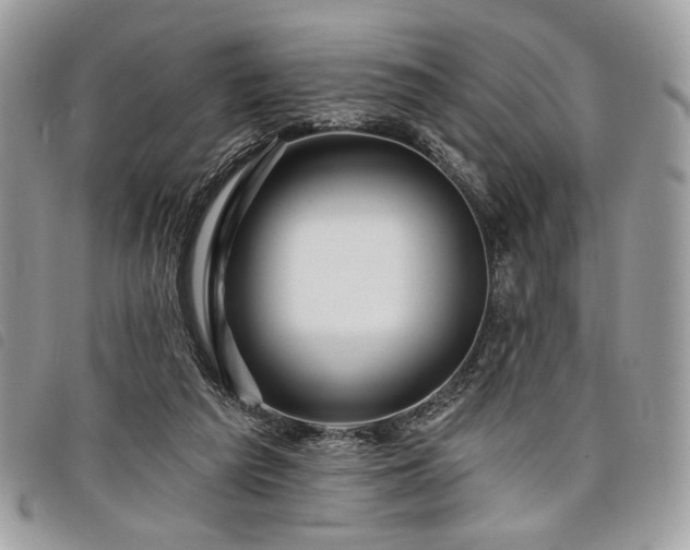 X0000098030209200804071424