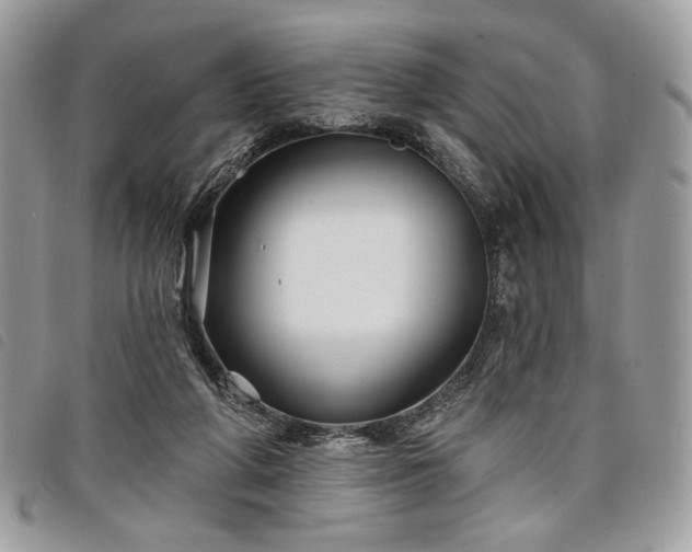 X0000098030210200804071424