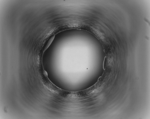 X0000098030211200804071424