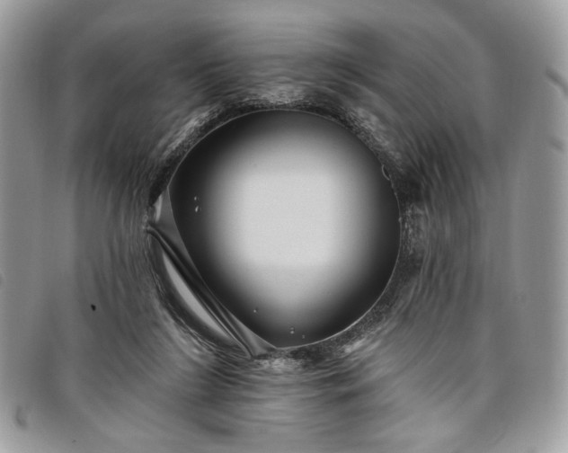 X0000098030212200804071424