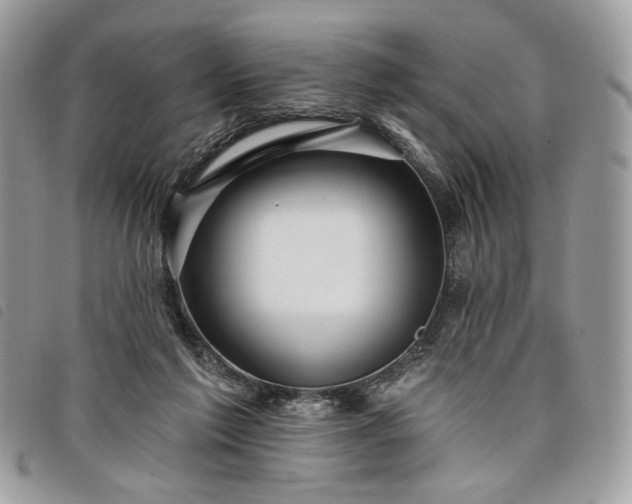 X0000098030213200804071424