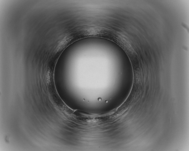 X0000098030216200804071423