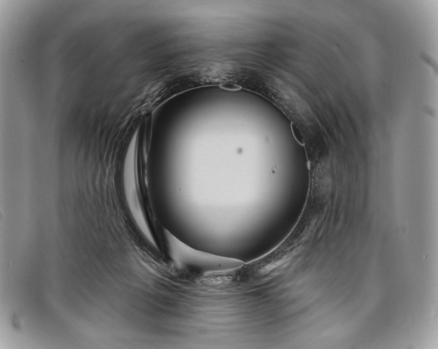 X0000098030217200804071423