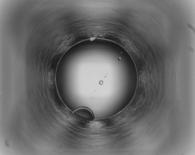 X0000098030218200804071423