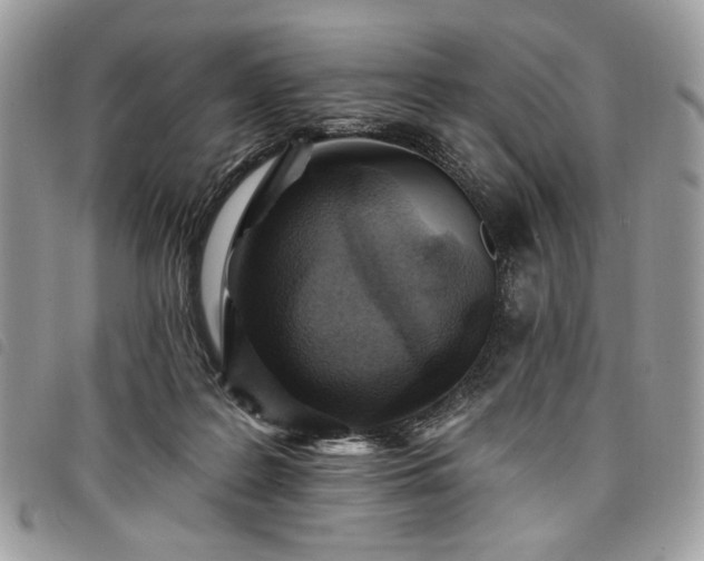 X0000098030219200804071423