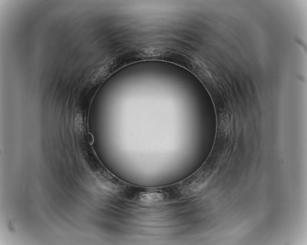 X0000098030220200804071423