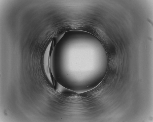 X0000098030221200804071423