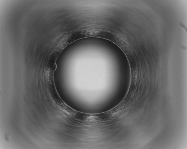 X0000098030222200804071423