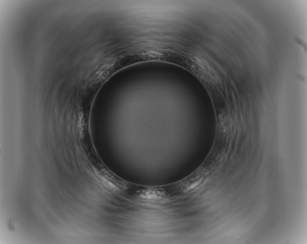 X0000098030223200804071423