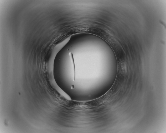 X0000098030224200804071423