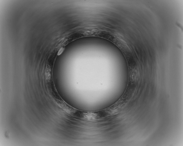 X0000098030226200804071423