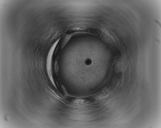 X0000098030227200804071423