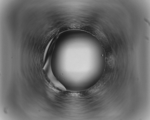 X0000098030233200804071423