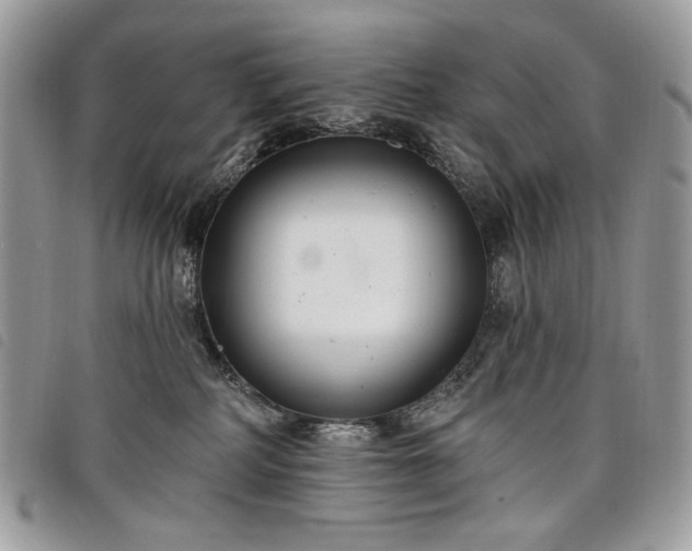 X0000098030234200804071423