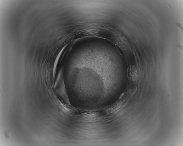 X0000098030235200804071423