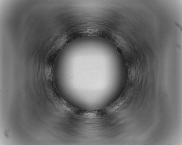 X0000098030236200804071423