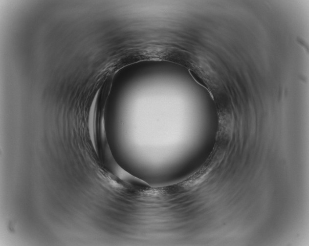 X0000098030237200804071423