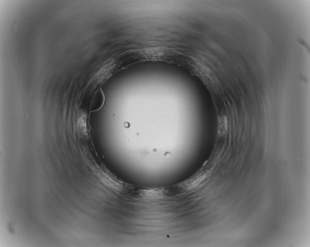 X0000098030238200804071423