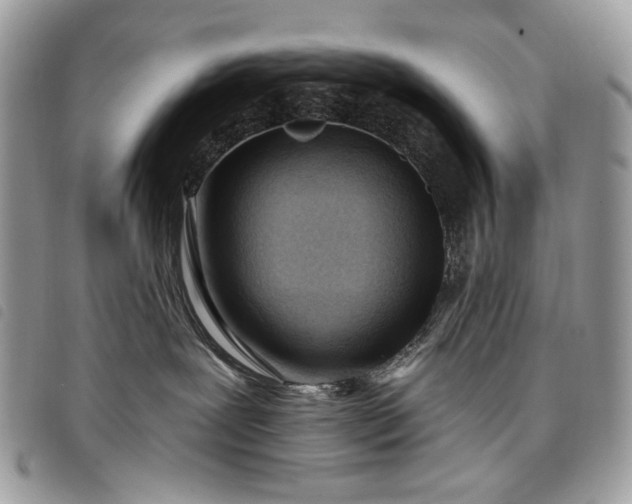 X0000098030239200804071423