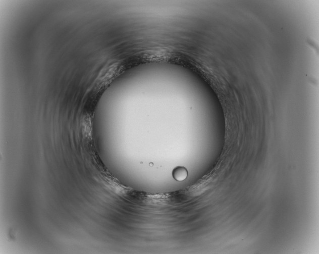 X0000098030240200804071423