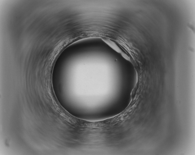 X0000098030241200804071422