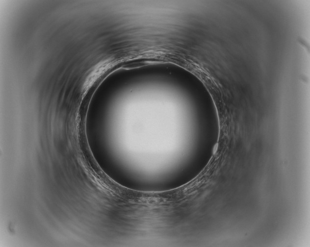 X0000098030242200804071423