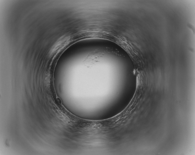 X0000098030243200804071423