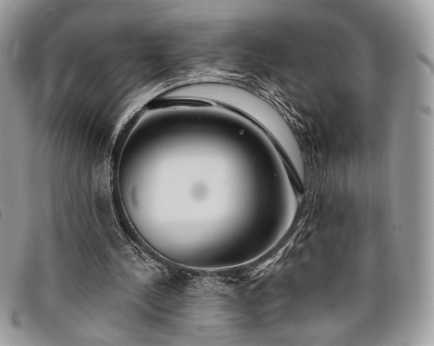 X0000098030244200804071423