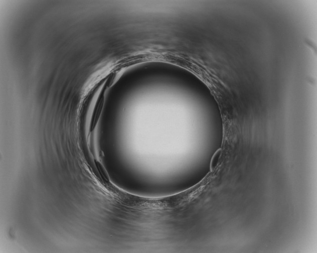 X0000098030245200804071423