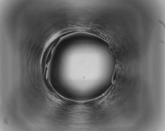 X0000098030246200804071423