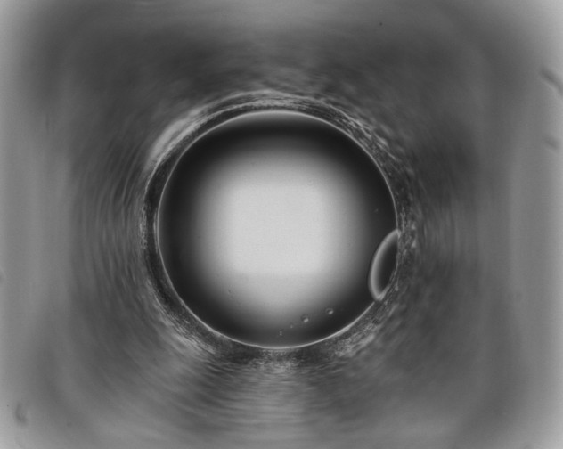 X0000098030247200804071423