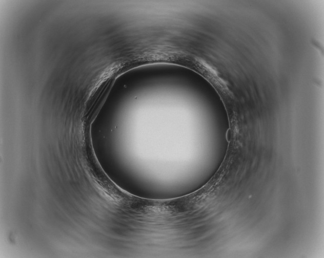 X0000098030250200804071423