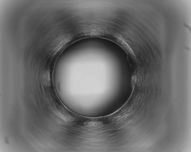 X0000098030251200804071423