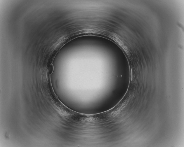 X0000098030253200804071423