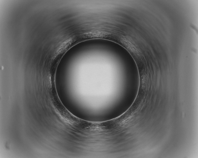 X0000098030254200804071423