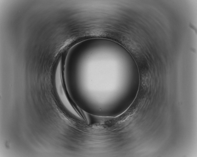 X0000098030256200804071423