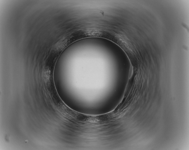 X0000098030263200804071423