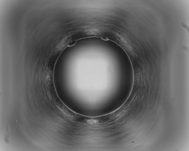 X0000098030265200804071423