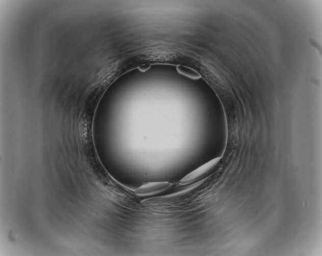 X0000098030268200804071423