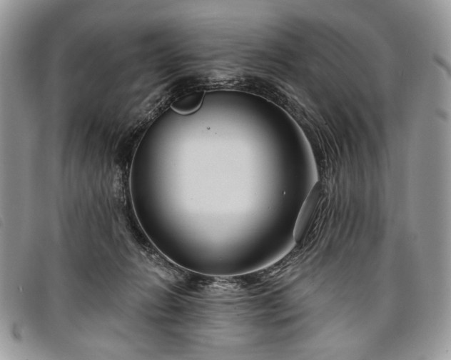 X0000098030270200804071423