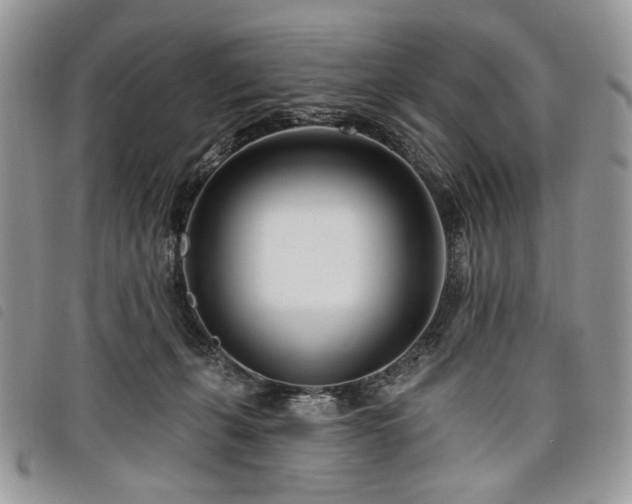 X0000098030271200804071423