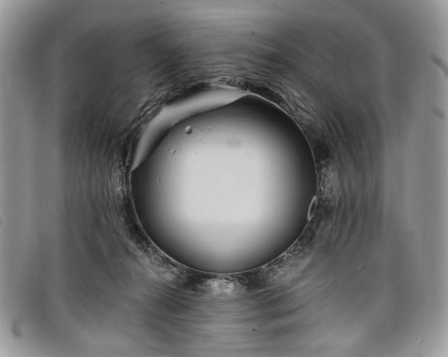 X0000098030272200804071423