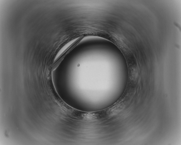 X0000098030273200804071423