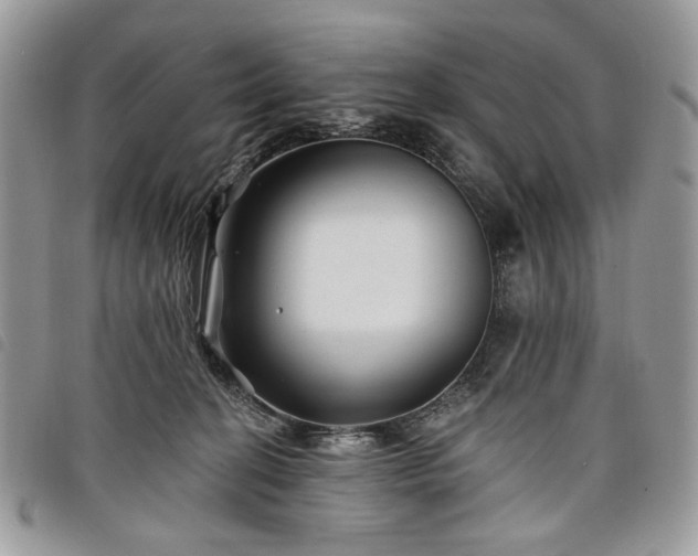 X0000098030274200804071423